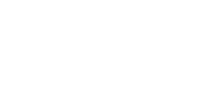 logo bico